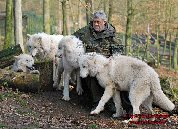 Wolves are obviously a very feared species.