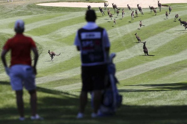ISPS Handa Australian Open - Day 1