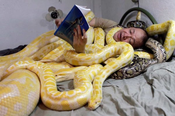 Zoo owner Emmanuel Tangco reads a book to his snakes in his bedroom in Malabon