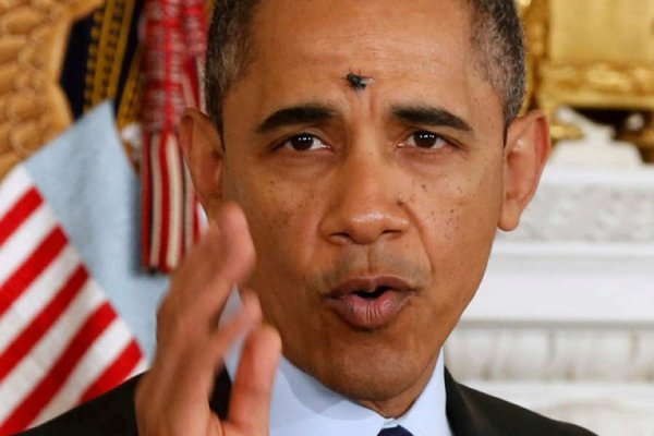 A fly lands on the head of U.S. President Barack Obama at the White House in Washington