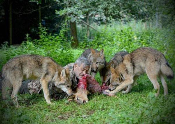 Seriously... EVERYTHING.