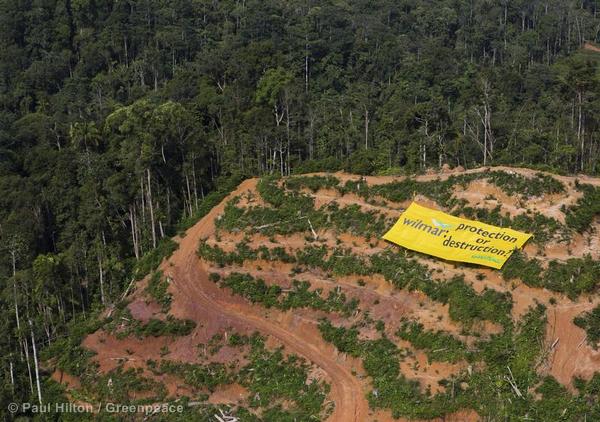 Banner at Wilmar Palm Oil Concession in Sumatraia