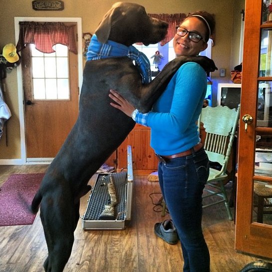 5. Hmm, but can I fit onto her shoulders? - https://www.facebook.com/diplyofficial