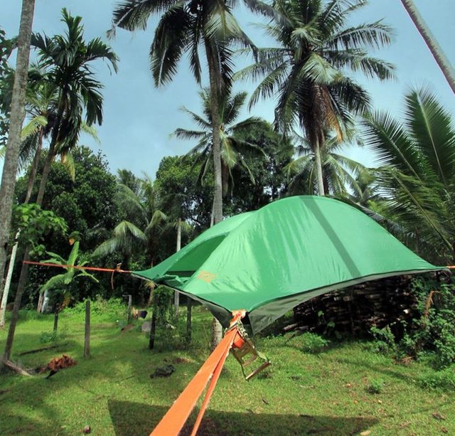 The ground is for suckers. These awesome tents are portable tree forts!