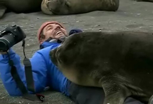 1D274906381323-today-joe-pleban-140716-05.blocks_desktop_medium