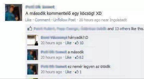 falragaszok a fészbuk esze