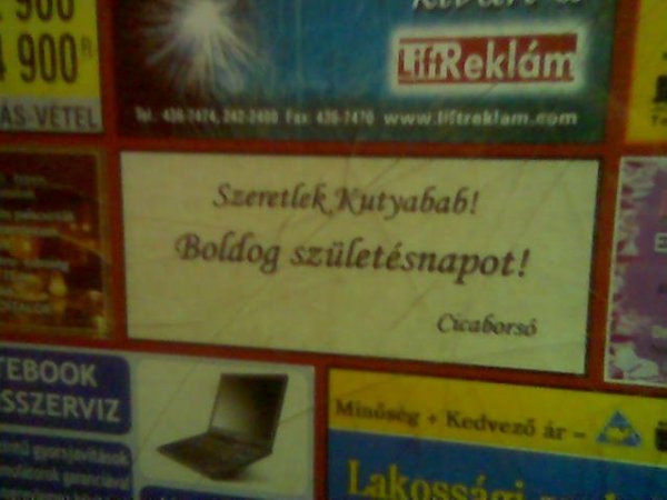 falragaszok liftreklám nyuszilencse