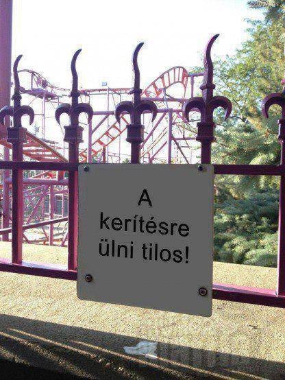 falragaszok kerítésre ülni tilos