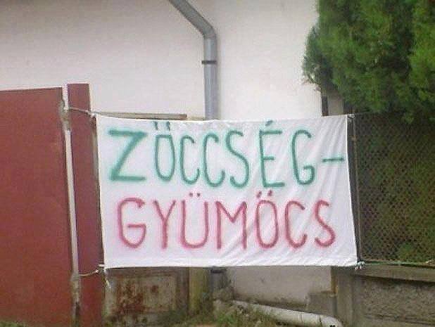 falragaszok zöccség