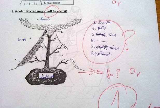 falragaszok 4_es a függőágy