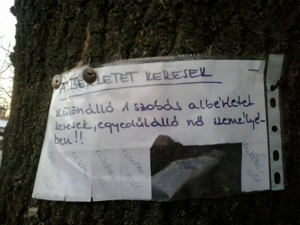 falragaszok lakást keres