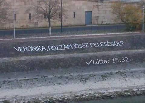 falragaszok látta de nem ír, légy pozitiv, épp elcsapta egy kocsi