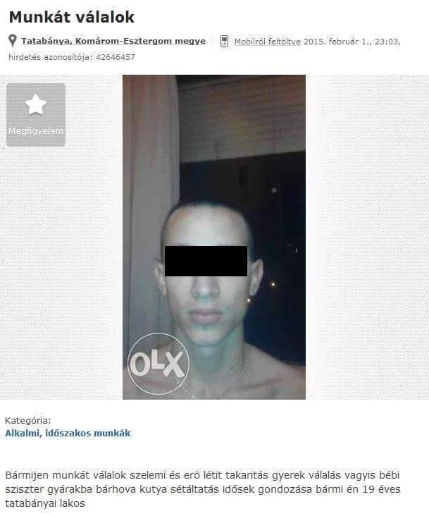 falragaszok munkavállaló