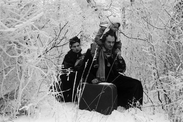 Magyar migráns osztrák határ 56 november végén