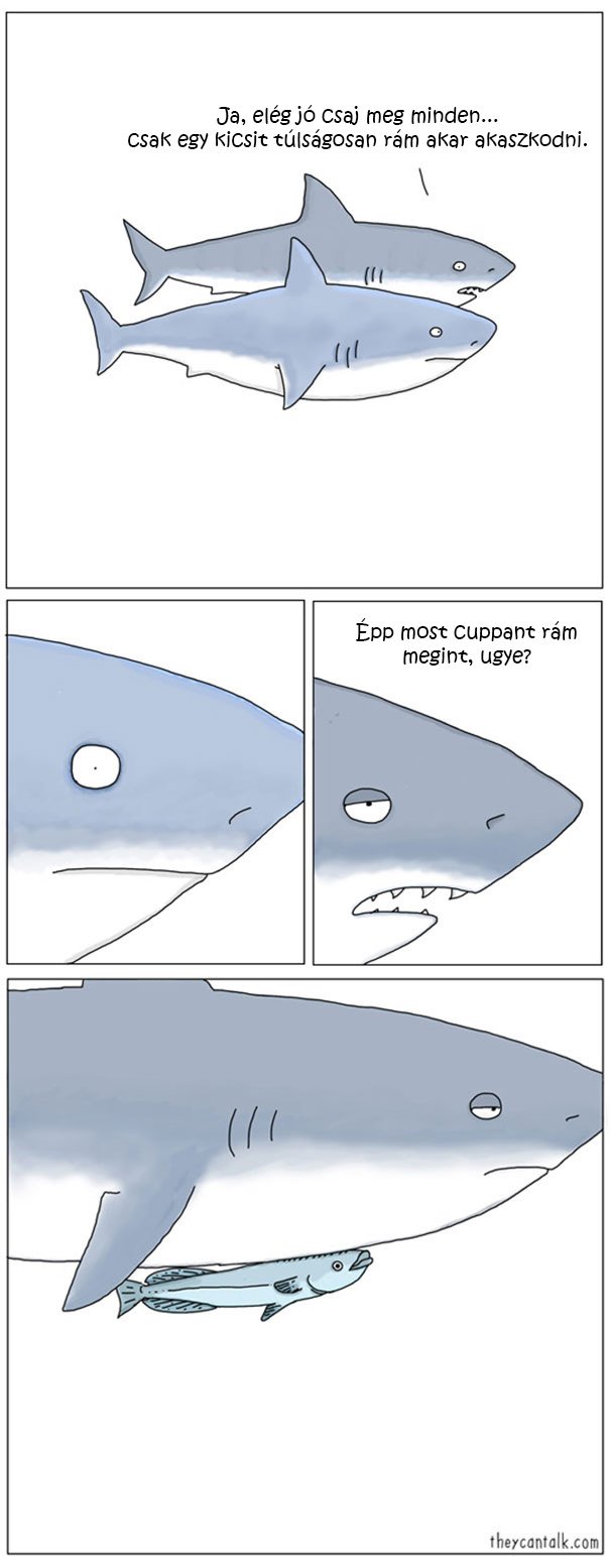 cápa