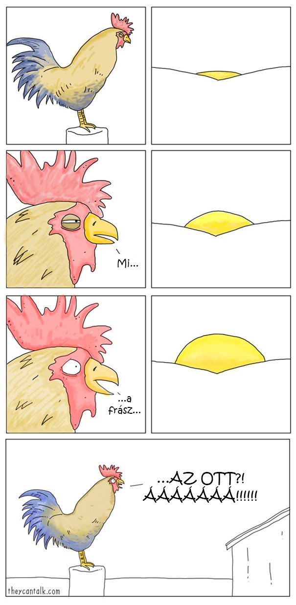 kakas