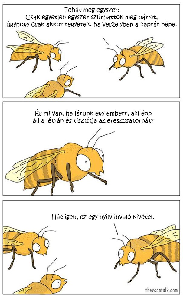 méh