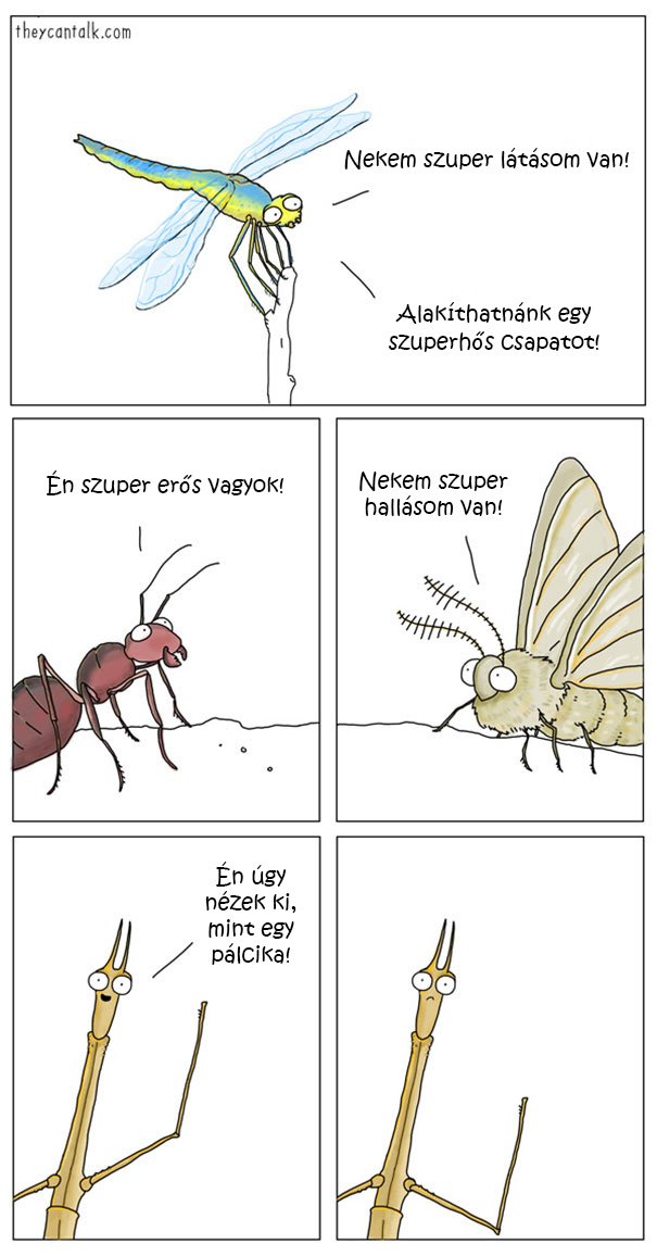 pálcika