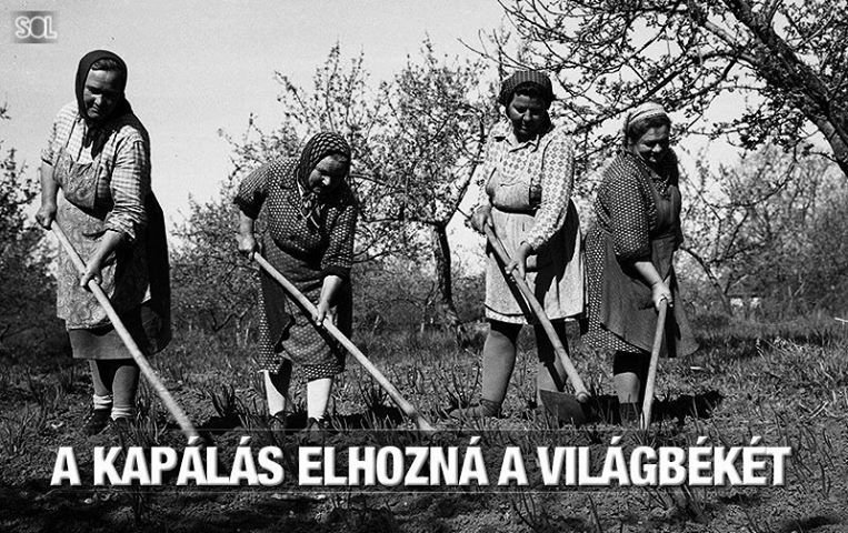 ásó